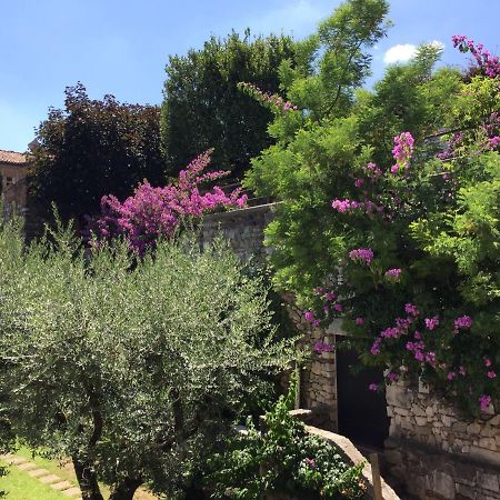 Apartament Le Finestre Sugli Ulivi Desenzano del Garda Zewnętrze zdjęcie